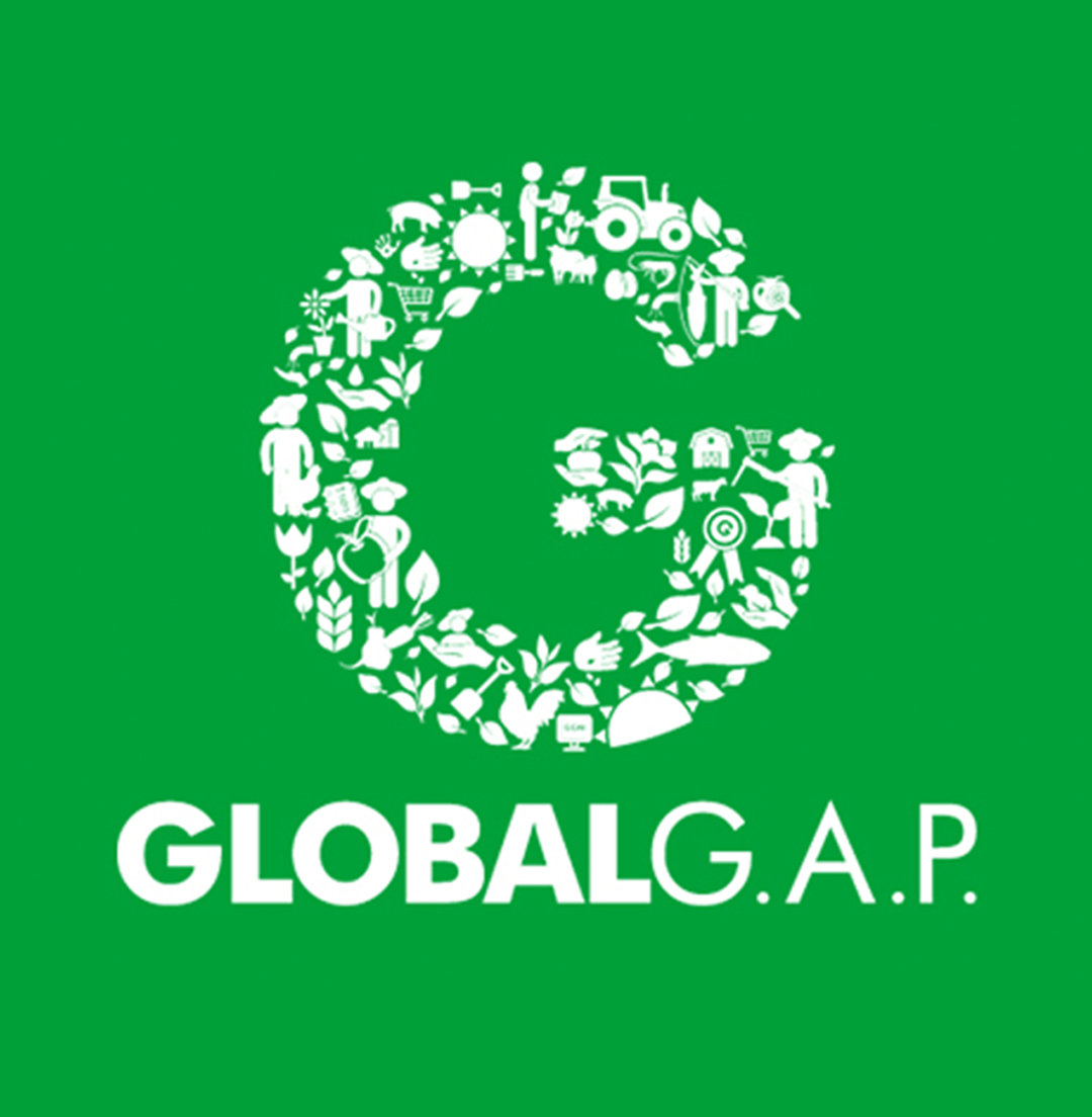 Global GAP